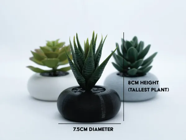 Succulent Desk Plant - personalised corporate gift