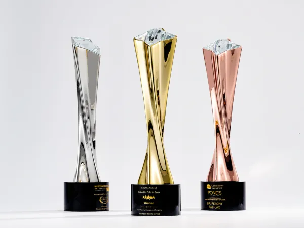 Premium Brass Trophy - personalised corporate gift