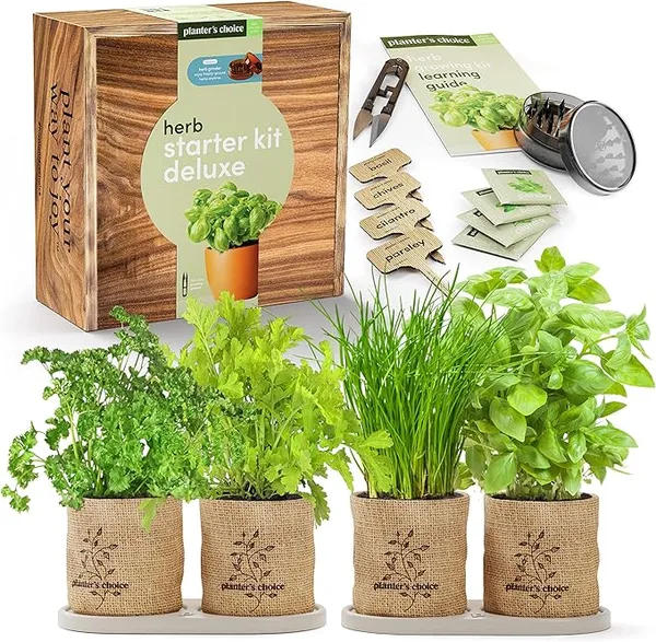 Plant Kit Garden Starter - personalised corporate gift